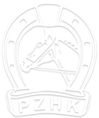 Logo PZHK
